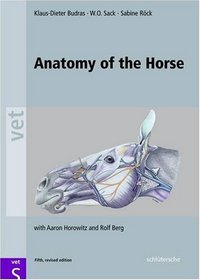 Anatomy of the Horse