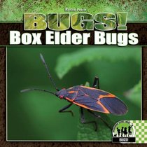Box Elder Bugs (Bugs!)