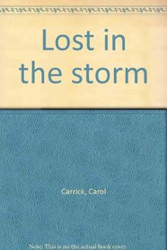 Lost in the Storm