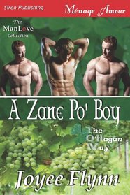 A Zane Po' Boy (O'Hagan Way, Bk 3)