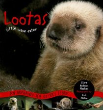 Lootas Little Wave Eater: An Orphaned Sea Otter's Story