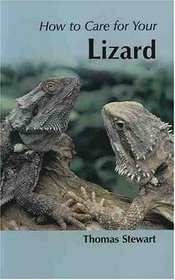 How to Care for Your Lizard (Your first...series)