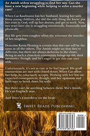 The Amish Widow: A Suspense Romance