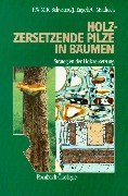 Holzzersetzende Pilze in Bumen. Strategien der Holzzersetzung.