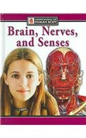 Brain, Nerves, and Senses (Understanding the Human Body)