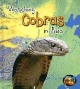 Watching Cobras in Asia (Heinemann First Library)