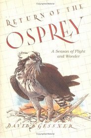 Return of the Osprey : A Season of Flight and Wonder