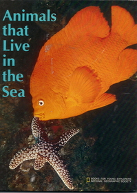 Animals That Live in the Sea (Books for Young Explorers)