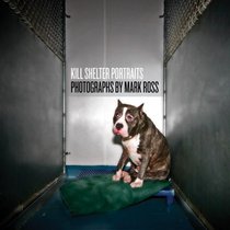 Animal Shelter Portraits