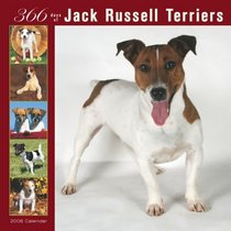 Jack Russell Terriers 366 Days 2008 Square Wall Calendar (German, French, Spanish and English Edition)