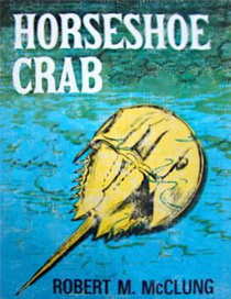 Horseshoe Crab