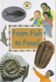 From Fish to Fossil (Rainbows Green)