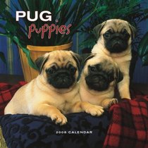 Pug Puppies 2008 Mini Wall Calendar (German, French, Spanish and English Edition)