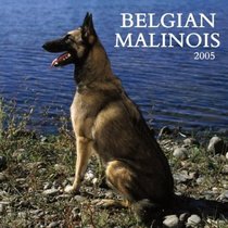 Belgian Malinois 2005 Wall Calendar