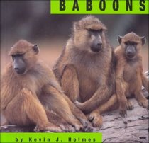 Baboons (Animals)