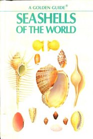 Seashells of World