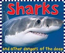 Sharks: board book
