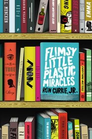 Flimsy Little Plastic Miracles: A Novel