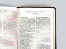 ESV Large Print Compact Bible (TruTone, Brown, Mosaic Cross Design)