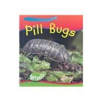 Pill Bugs (Creepy Creatures)