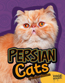 Persian Cats (Edge Books: All about Cats)