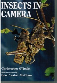 Insects in Camera