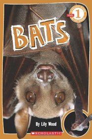 Bats (Scholastic Reader Level 1)