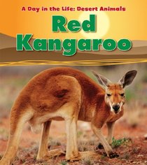 Red Kangaroo (A Day in the Life: Desert Animals)