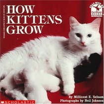 How Kittens Grow (Read With Me)