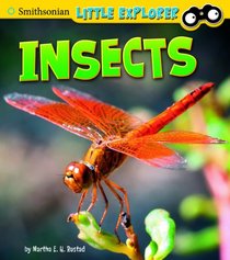 Insects (Smithsonian Little Explorer: Little Scientist)
