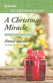 A Christmas Miracle (Smoky Mountains, Tennessee, Bk 3) (Harlequin Heartwarming, No 162) (Larger Print)