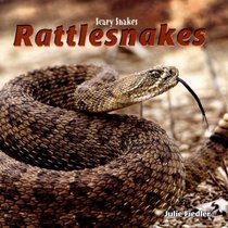 Rattlesnakes (Scary Snakes)
