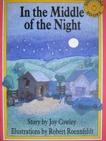 In the Middle of the Night (Sunshine Books)