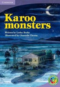 Rainbow Reading Level 4 - Archaeology: Karoo Monsters Box D: Level 4