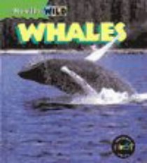Whales (Really Wild)