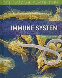 Immune System (The Amazing Human Body)