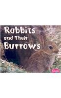 Rabbits and Their Burrows (Animal Homes)