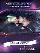 One Stormy Night (Harlequin Intrigue (Mills & Boon))
