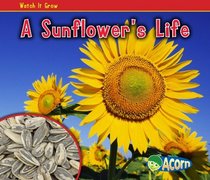 A Sunflower's Life (Acorn)