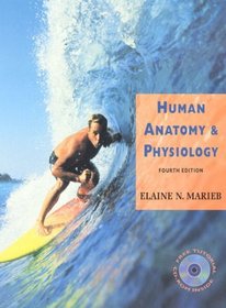 Human Anatomy and Physiology
