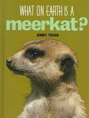 What on Earth is A Meerkat ?
