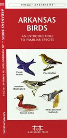 Arkansas Birds: An Introduction to Familiar Species