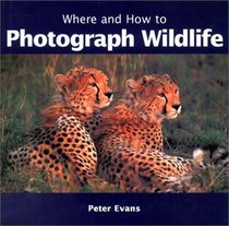 Where and How to Photograph Wildlife