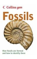 Fossils (Collins GEM)