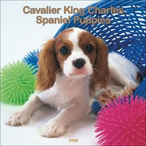 Cavalier King Charles Spaniel Puppies 2008 Square Wall Calendar