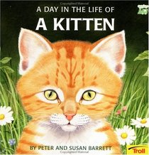 Day In The Life Of A Kitten - Pbk