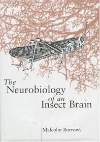 The Neurobiology of an Insect Brain