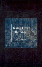 Taking Down the Angel (Carnegie Mellon Poetry)