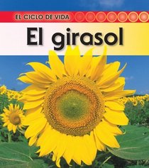 El girasol / Sunflower (El Ciclo De Vida / Life Cycle of a. . .) (Spanish Edition)