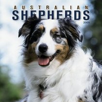Australian Shepherds 2005 Wall Calendar